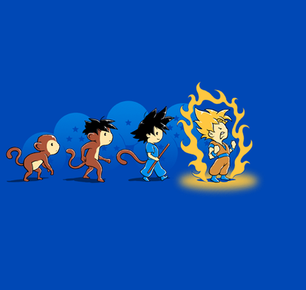 Saiyan Evolution