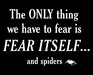 The Only Thing We Have To Fear Itself... And Spiders