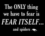 The Only Thing We Have To Fear Itself