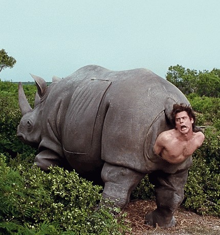 Ace Ventura Rhino Birth