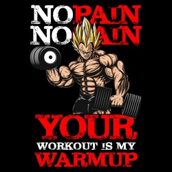No Pain No Gain - Your Workout Is My Warmup