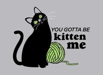 You Gotta Be Kitten Me