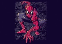 Spider Web