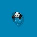 Pocket Panda