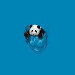 Pocket Panda