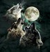 Mountain Three Wolf Moon