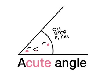 Acute Angle (a cute)