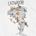 Catnado