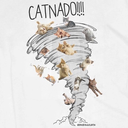 Catnado