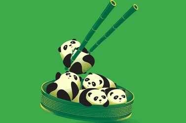 Panda Dumplings