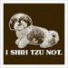 I Shih Tzu Not