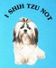 I Shih Tzu Not