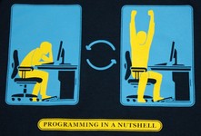 Programming in a Nutshell