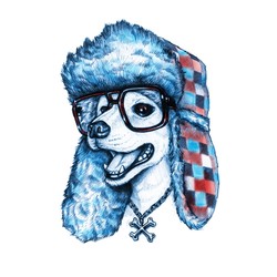 Willy the Dog