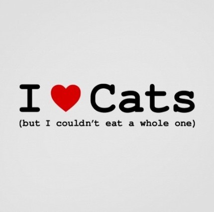 I Love Cats, But I Couldn't Eat a Whole One