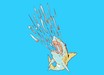 Shark Attack