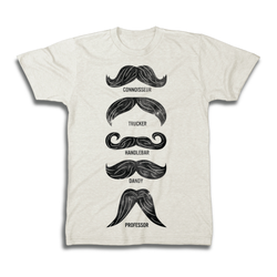 Types Of Mustaches