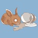 Coffy Rabbit