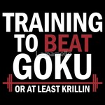 Training To Beat Goku