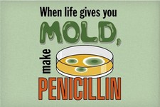 When Life Gives You Mold, Make Penicillin