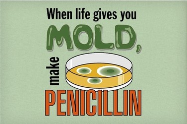 When Life Gives You Mold, Make Penicillin