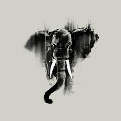 Elephont