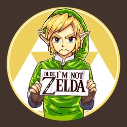 Dude, I'm Not Zelda!!