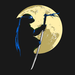 Turtles by Moonlight (4 shirts)