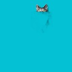 I've Got A Cat In My Pocket