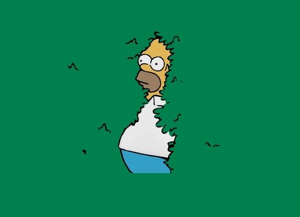 HOMER J-1000