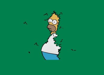 HOMER J-1000