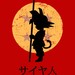 Looking for the Dragon Balls