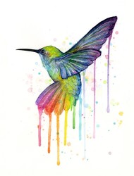 Hummingbird Rainbow Watercolor