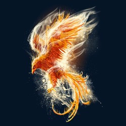 fenix