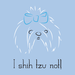 I Shih Tzu Not
