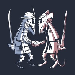 Sensei vs Sensei