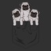 Pocket Pug