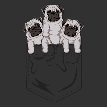Pocket Pug