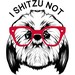 I Shih Tzu Not