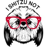 I Shih Tzu Not