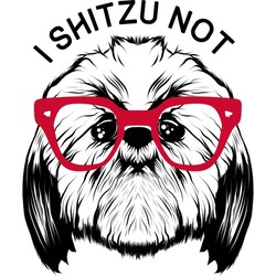 I Shih Tzu Not