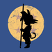 Looking for the Dragon Balls
