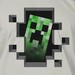 Minecraft Creeper Inside