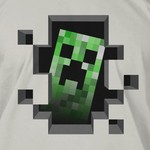 Minecraft Creeper Inside
