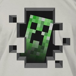 Minecraft Creeper Inside