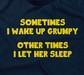 Sometimes I Wake Up Grumpy (Other Times I Let Her Sleep)