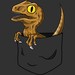 Pocket Raptor
