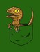 Pocket Raptor