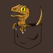 Pocket Raptor