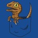 Pocket Raptor